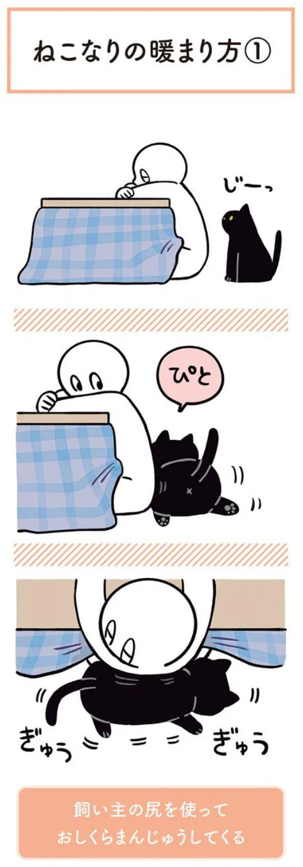 ねこなりの暖まり方１