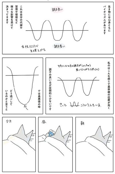 【画像を見る】生き物には心身ともにバイオリズムがあります