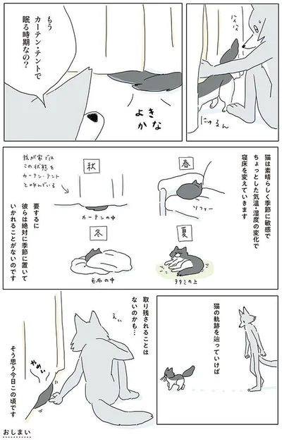 猫の軌跡を辿っていけば