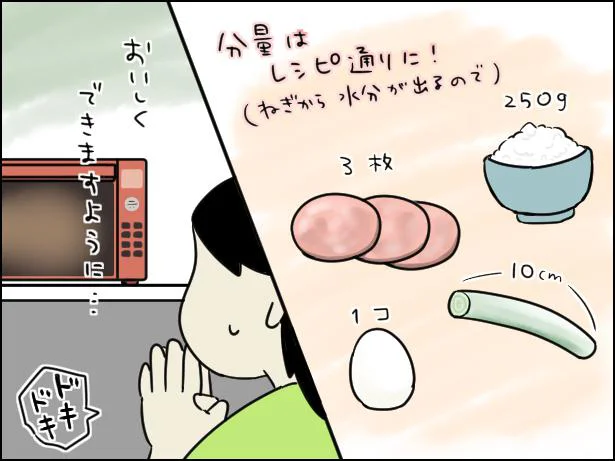 チャーハンまでレンジで作れてしまうんだ、頼んだぞ……！