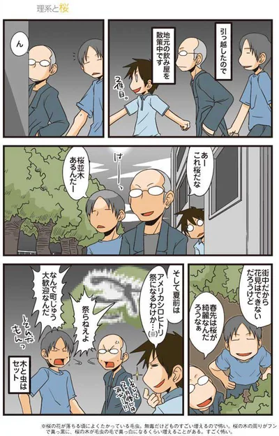 理系と桜