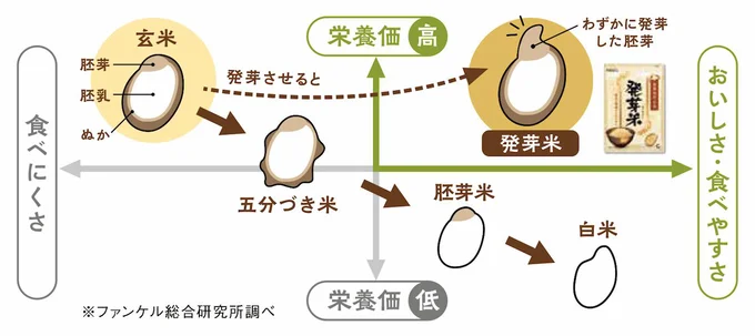 「ぬか層」がやわらかくなっているので、白米同様の食べやすさ