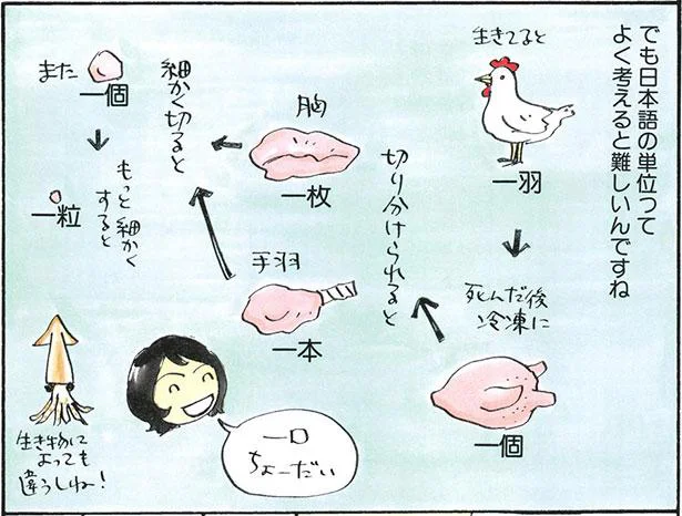 日本語の単位ってよく考えると難しいんですね