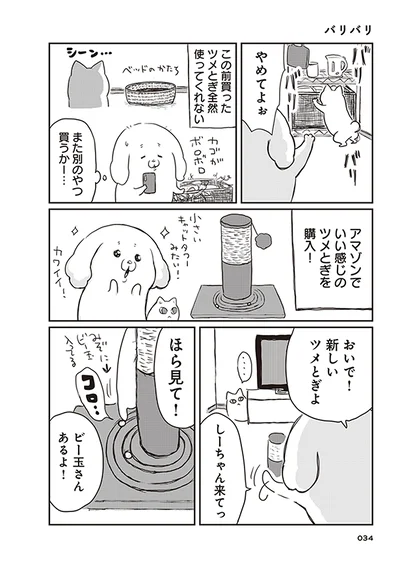 【画像を見る】新しいツメとぎよ