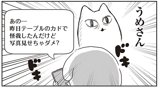 「ケガしたところ写真送っていい？」つい誰かに見せたくて…／今日もゆるっとがんばった 猫もおるよ（7）