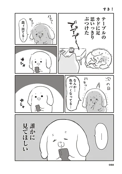 【画像を見る】すき！