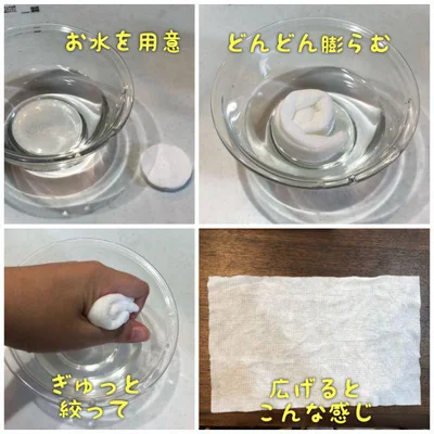 【画像をみる】水に入れるとむくむくと膨らむよ