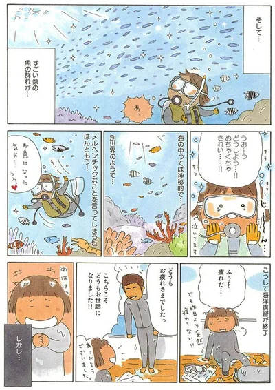 すごい数の魚の群れが…