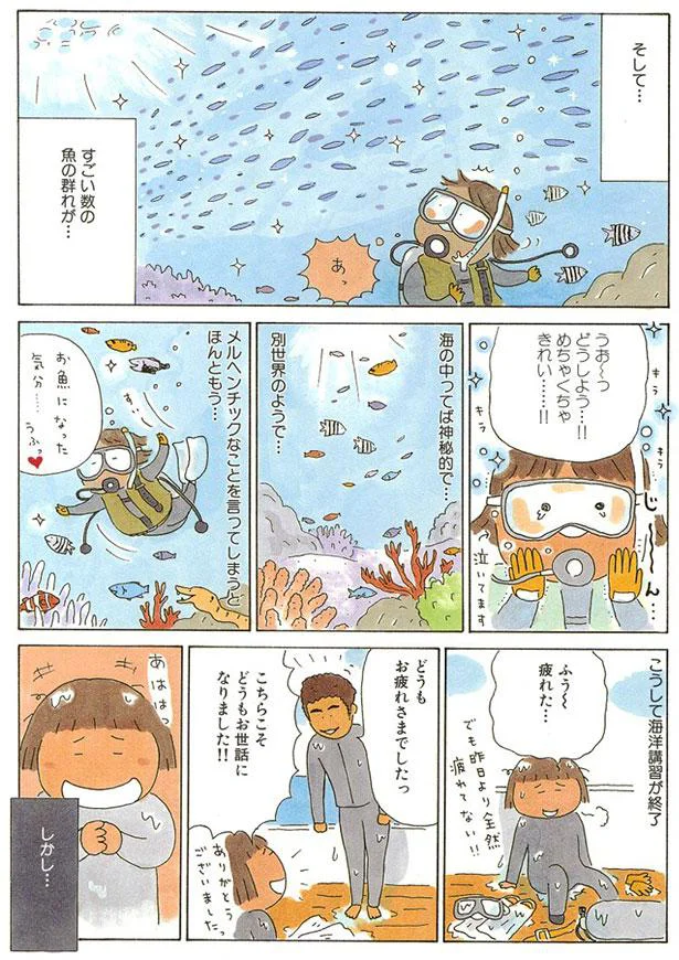 すごい数の魚の群れが…