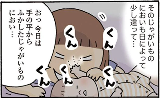 小さな娘から、なぜかじゃがいものにおいが…／おかあさんライフ。（4）