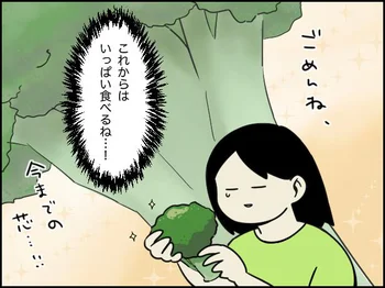 今まで無駄にしてしまった芯と茎に懺悔したい…わが家に革命を起こしたブロッコリー丸ごと活用レシピ