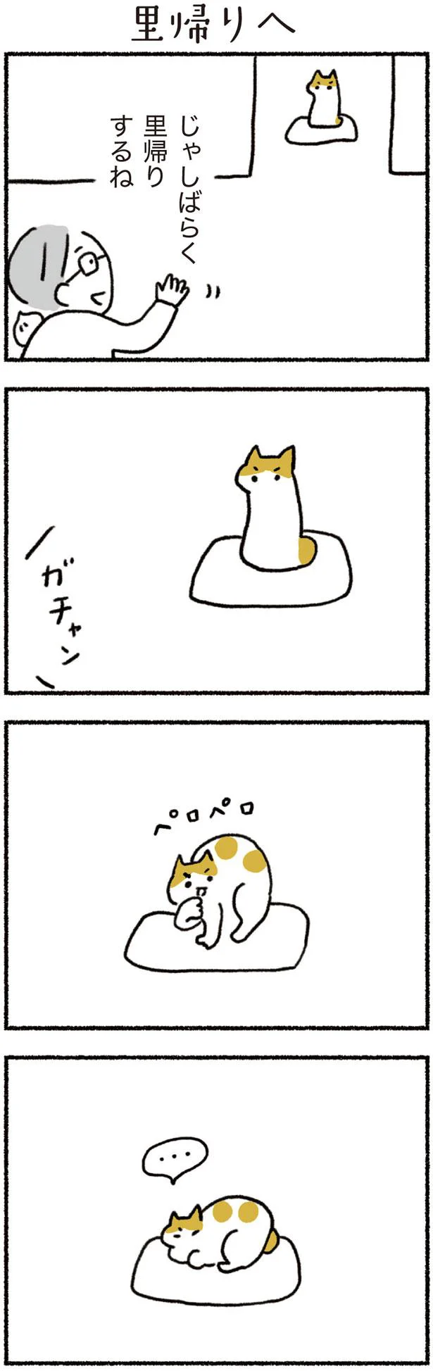  しばらく里帰りするね