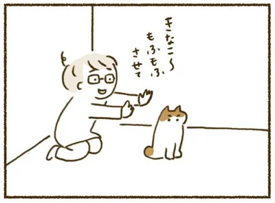 きなこ～　もふもふさせて