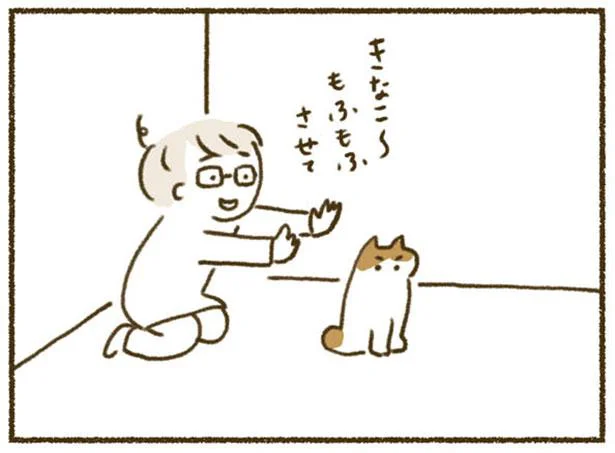 きなこ~ もふもふさせて