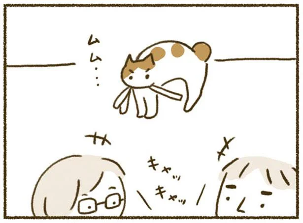 赤ちゃんにつきっきりの飼い主。こっちにも気を回して！／ねこと赤ちゃん（6）