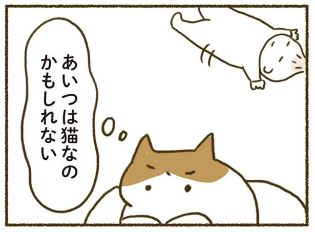 もしかしてだけど、やってきたあいつはねこなのでは？／ねこと赤ちゃん（9）