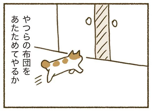 やつらの布団を温めてやるか…と思ったけどやめた／ねこと赤ちゃん（11）