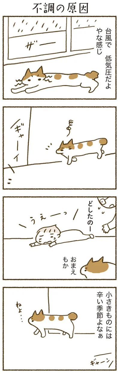 不調の原因