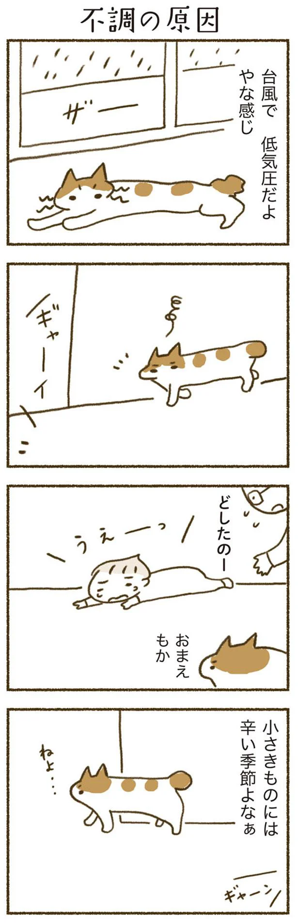 不調の原因