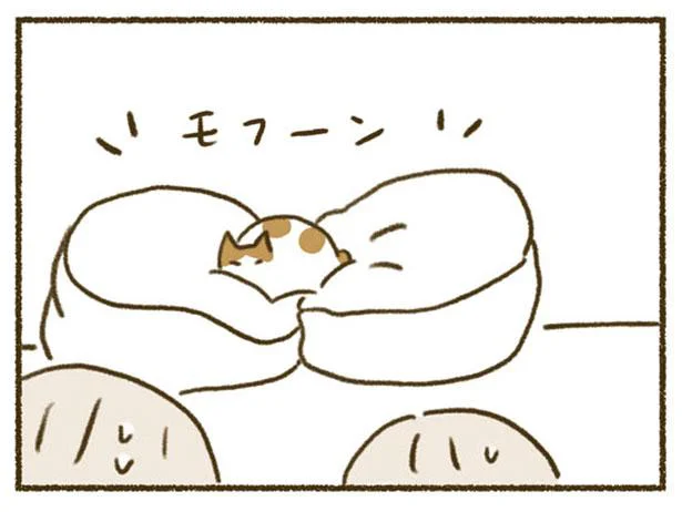 人をダメにするソファはねこもダメにするのです／ねこと赤ちゃん（12）