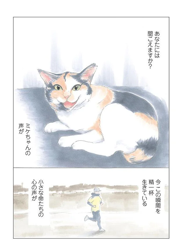 あなたには聞こえますか?