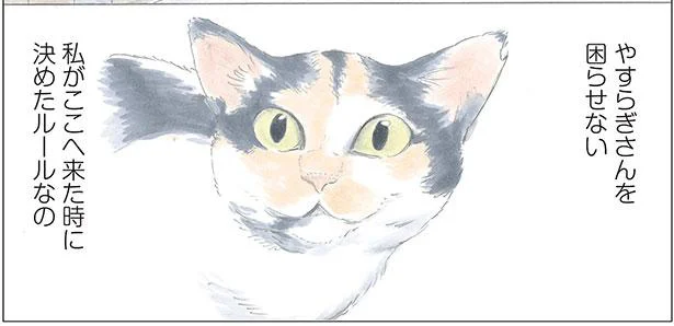 猫が苦手なお客様が来店すると…。空気を読むミケちゃんの行動とは？／ミケちゃんとやすらぎさん（3）