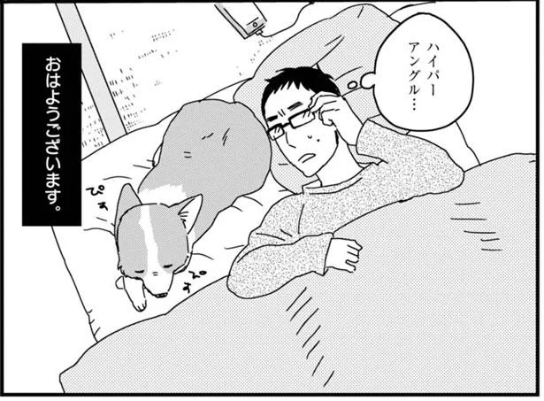 このアングル ずっと見ていられる あしょんでよッ うちの犬ログ 1 レタスクラブ このアングル ずっと見ていられる あしょんでよッ うちの犬ログ 1 レタスクラブ