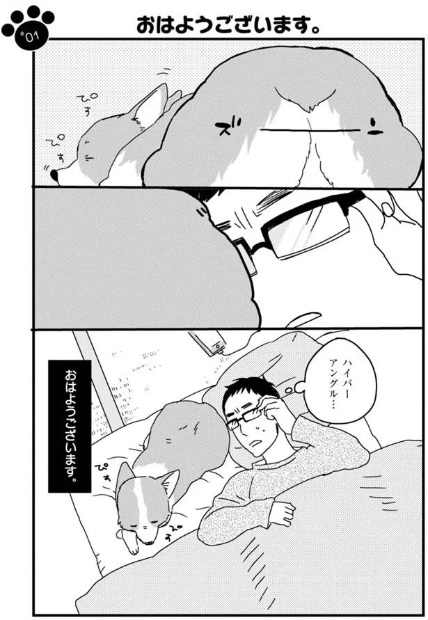 このアングル ずっと見ていられる あしょんでよッ うちの犬ログ 1 レタスクラブ このアングル ずっと見ていられる あしょんでよッ うちの犬ログ 1 レタスクラブ