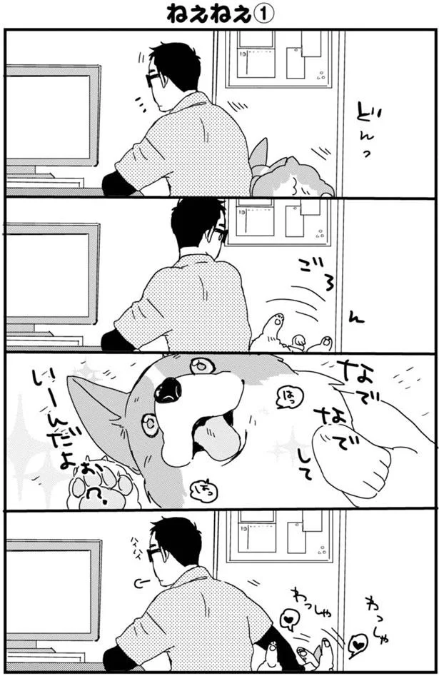 このアングル ずっと見ていられる あしょんでよッ うちの犬ログ 1 レタスクラブ このアングル ずっと見ていられる あしょんでよッ うちの犬ログ 1 レタスクラブ