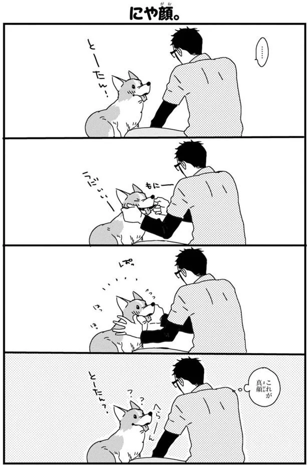 このアングル ずっと見ていられる あしょんでよッ うちの犬ログ 1 レタスクラブ このアングル ずっと見ていられる あしょんでよッ うちの犬ログ 1 レタスクラブ
