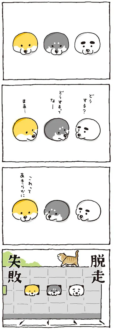 試みた3匹