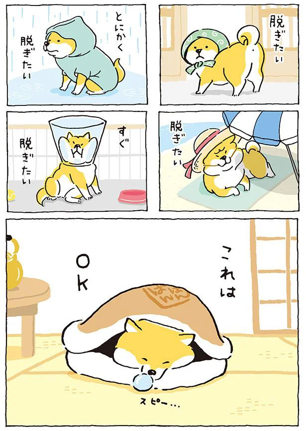 ほんとは