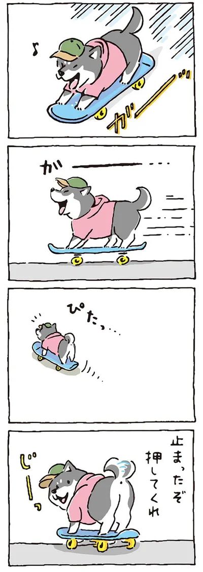スケーターボーイ