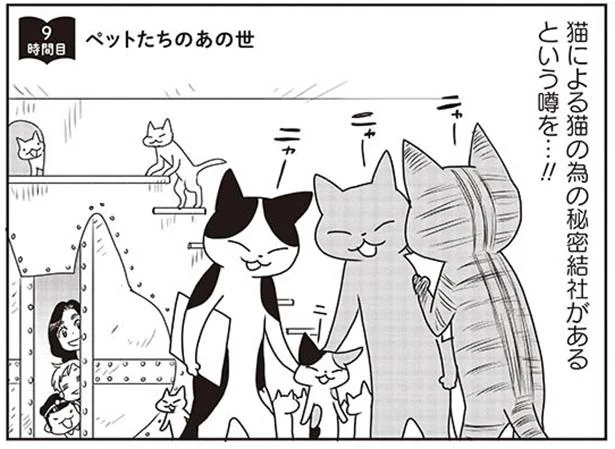 動物好きの人が猫と運命的な出会いをするのは…