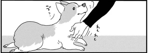 わしわし