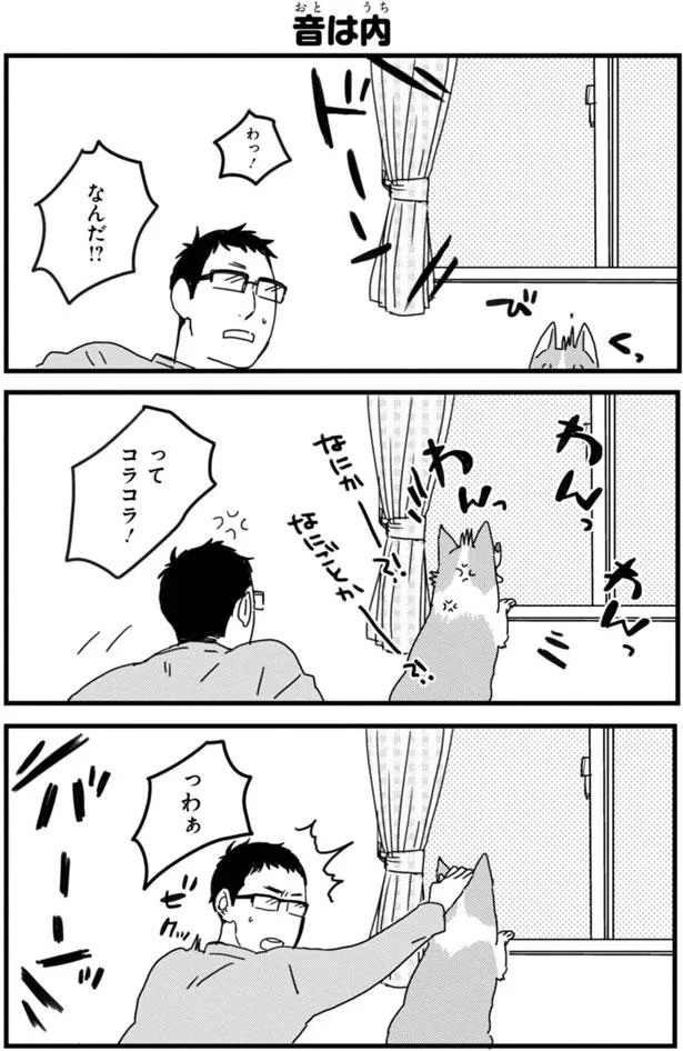 何でここをかくと ぱしぱし足が動くんだろう そのスイッチって あしょんでよッ うちの犬ログ 5 2ページ目 レタスクラブ 何でここをかくと ぱしぱし足が動くんだろう そのスイッチって あしょんでよッ うちの犬ログ 5 2ページ目 レタスクラブ