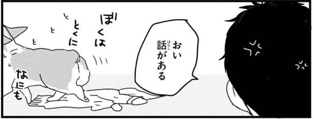 それでも憎めない 静かな時のよからぬ遊び あしょんでよッ うちの犬ログ 7 レタスクラブ それでも憎めない 静かな時のよからぬ遊び あしょんでよッ うちの犬ログ 7 レタスクラブ