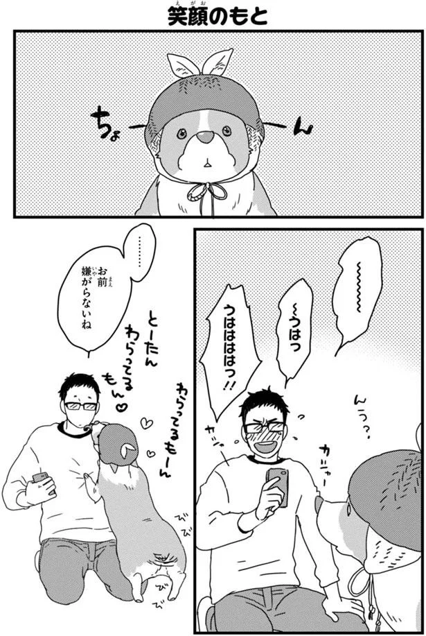トイレに行きたいけど行けない 困った状況とは あしょんでよッ うちの犬ログ 8 レタスクラブ トイレに行きたいけど行けない 困った状況とは あしょんでよッ うちの犬ログ 8 レタスクラブ
