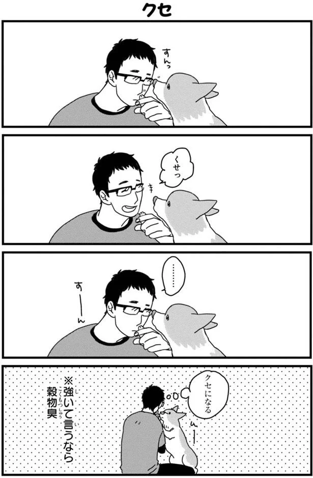 トイレに行きたいけど行けない 困った状況とは あしょんでよッ うちの犬ログ 8 画像4 10 レタスクラブ トイレに行きたいけど行けない 困った状況とは あしょんでよッ うちの犬ログ 8 画像4 10 レタスクラブ