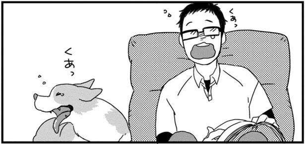 まどろむコーギーについ言ってしまう魔法の言葉とは あしょんでよッ うちの犬ログ 9 レタスクラブ まどろむコーギーについ言ってしまう魔法の言葉とは あしょんでよッ うちの犬ログ 9 レタスクラブ