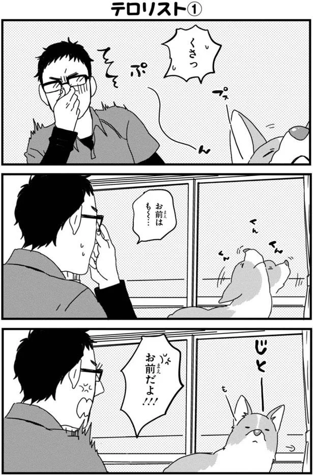 まどろむコーギーについ言ってしまう魔法の言葉とは あしょんでよッ うちの犬ログ 9 レタスクラブ まどろむコーギーについ言ってしまう魔法の言葉とは あしょんでよッ うちの犬ログ 9 レタスクラブ
