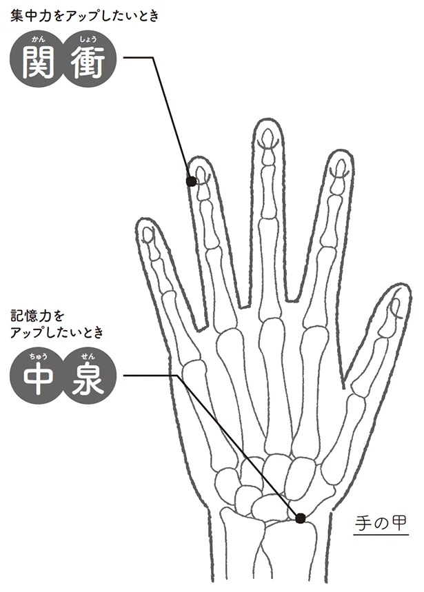 集中力をアップしたいとき▷関衝（かんしょう）記憶力をアップしたいとき▷中泉（ちゅうせん）