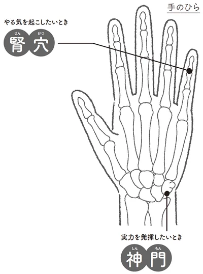 やる気を起こしたいとき▷腎穴（じんけつ）実力を発揮したいとき▷神門（しんもん）