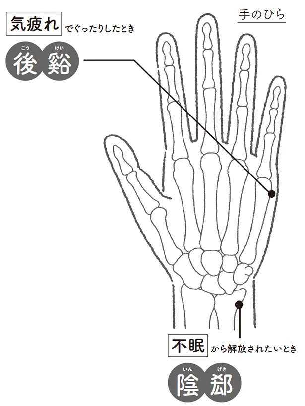 気疲れ でぐったりしたとき▷後谿（とうけい）不眠から解放されたいとき▷陰郄（いんげき）