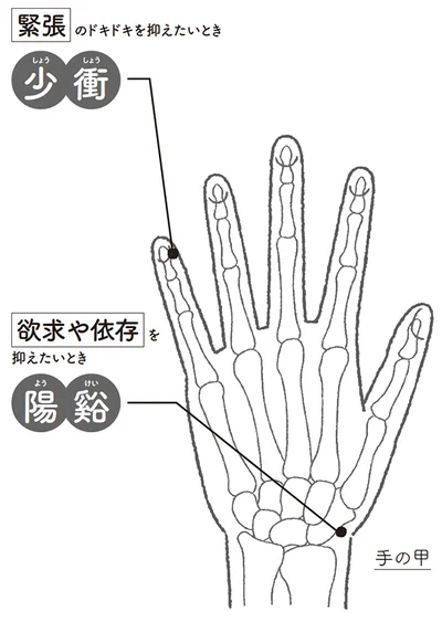 緊張のドキドキを抑えたいとき▷少衝（しょうしょう）欲求や依存を抑えたいとき▷陽谿（ようけい）