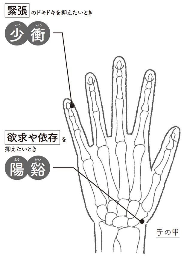 緊張のドキドキを抑えたいとき▷少衝（しょうしょう）欲求や依存を抑えたいとき▷陽谿（ようけい）