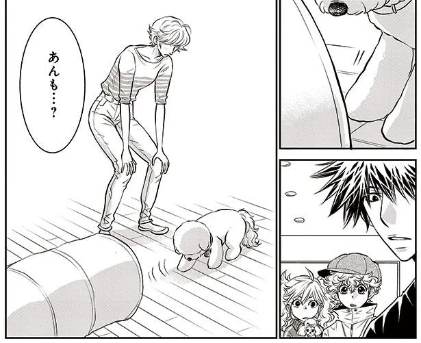 あの犬にできることならうちの子にもできるはず！そう思ったのに…／新米ドッグトレーナーは見た（5）