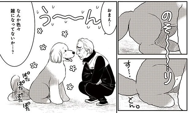 ドッグランで走らず、おすわりものんびりに…飼い主が気づかなかった原因とは／新米ドッグトレーナーは見た（10）