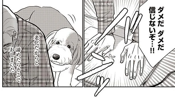 愛犬の不調の理由は老化。ネットで寿命を調べて知った衝撃の事実／新米ドッグトレーナーは見た（11）