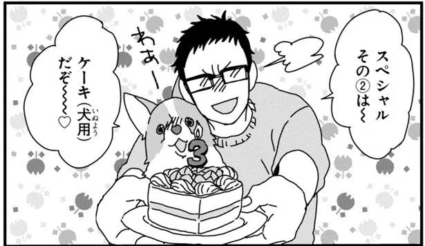 今日は愛犬のお誕生日 喜んでくれるプレゼントは何かな あしょんでよッ うちの犬ログ 2 1 レタスクラブ 今日は愛犬のお誕生日 喜んでくれるプレゼントは何かな あしょんでよッ うちの犬ログ 2 1 レタスクラブ